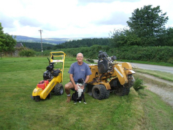 Tree Stump Removal